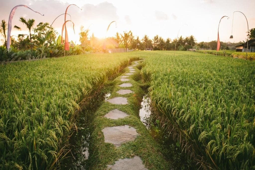 The Runik Ubud ภายนอก รูปภาพ